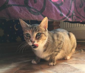 Margaret Bild von Margaret