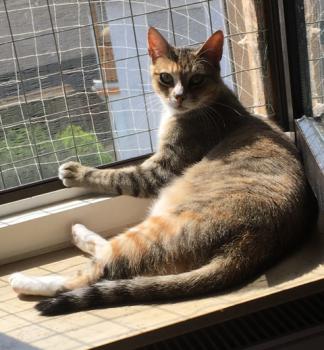 Margaret Bild von Margaret