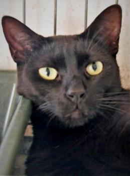 Thabo Bild von Thabo