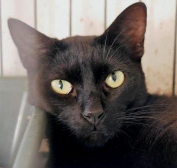 Thabo Bild von Thabo