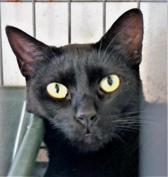 Thabo Bild von Thabo