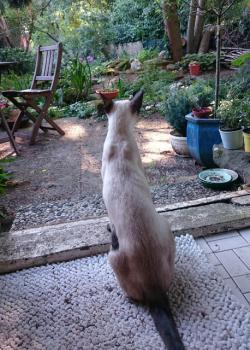 Lily Bild von Lily