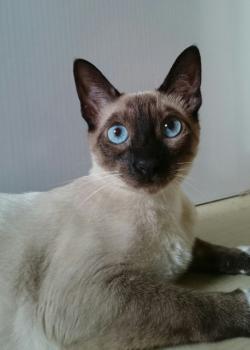 Lily Bild von Lily