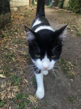 Ashira Bild von Ashira