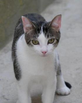 Chuchu Bild von Chuchu