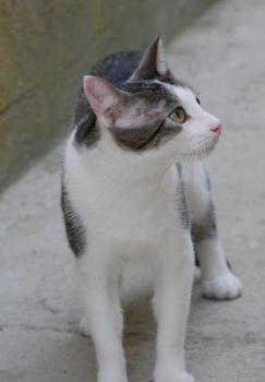 Chuchu Bild von Chuchu