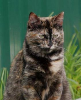 Tabita Bild von Tabita