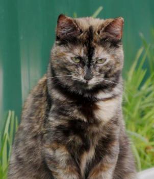 Tabita Bild von Tabita