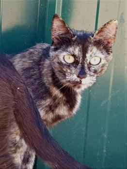 Tabita Bild von Tabita