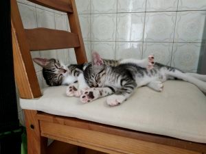 Kira Bild von Kira