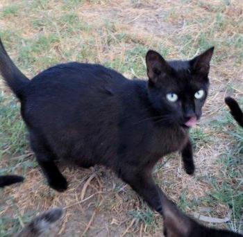 Melchior Bild von Melchior