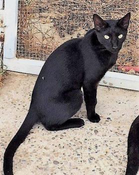 Melchior Bild von Melchior