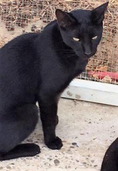 Melchior Bild von Melchior