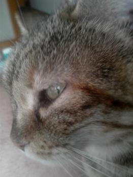 Hannah Bild von Hannah