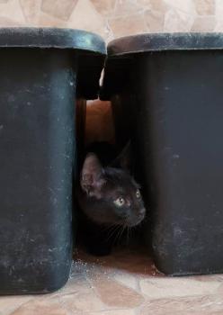 Nuka Bild von Nuka
