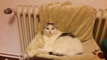 Fienchen Bild von Fienchen