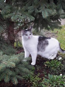 Fienchen Bild von Fienchen