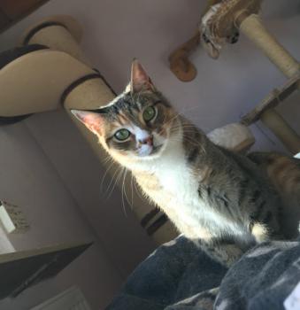 Margaret Bild von Margaret