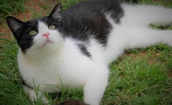 Samuel Bild von Samuel