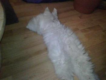 Rocky Bild von Rocky