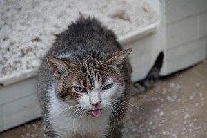 Velez Bild von Velez