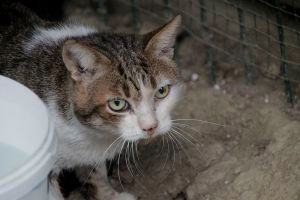 Velez Bild von Velez