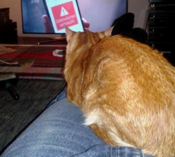Atul Bild von Atul