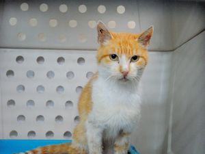 Federico Bild von Federico