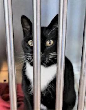 Auxi Bild von Auxi