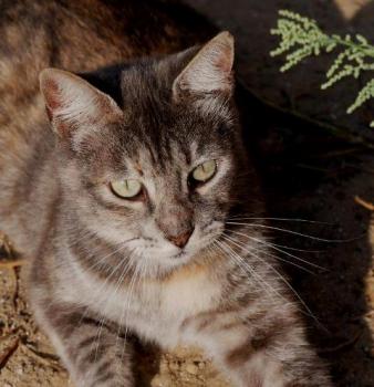 Rosita Bild von Rosita