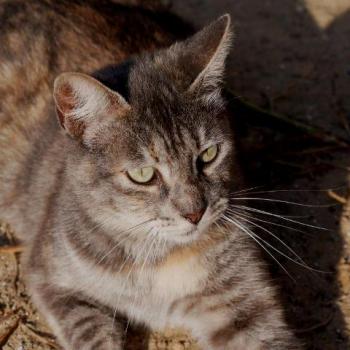 Rosita Bild von Rosita