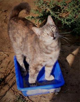 Rosita Bild von Rosita