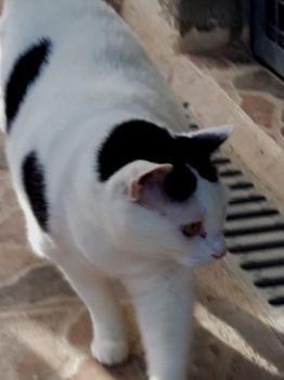 Smudge Bild von Smudge