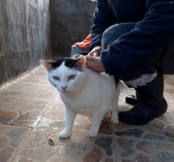 Smudge Bild von Smudge