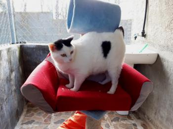 Smudge Bild von Smudge