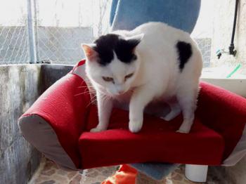 Smudge Bild von Smudge