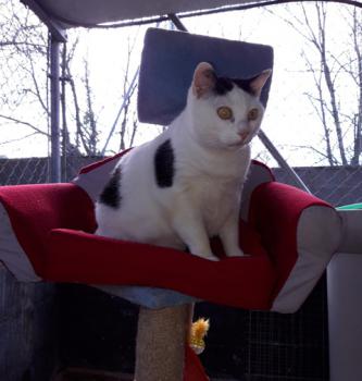 Smudge Bild von Smudge