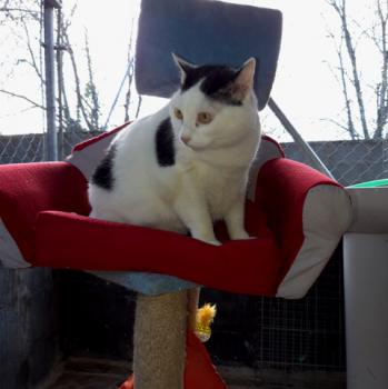 Smudge Bild von Smudge