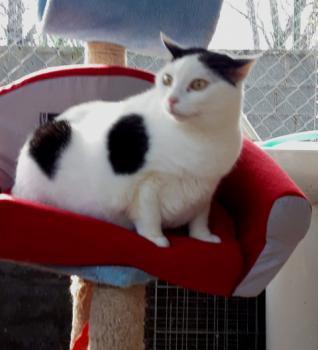 Smudge Bild von Smudge