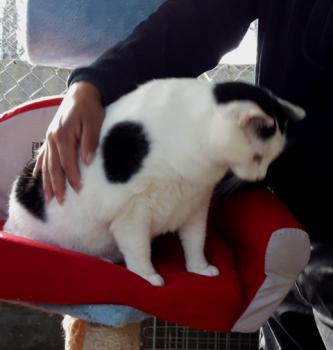 Smudge Bild von Smudge