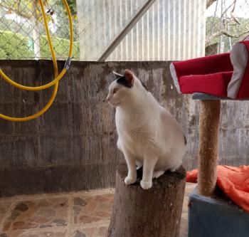 Smudge Bild von Smudge