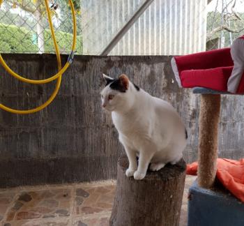 Smudge Bild von Smudge