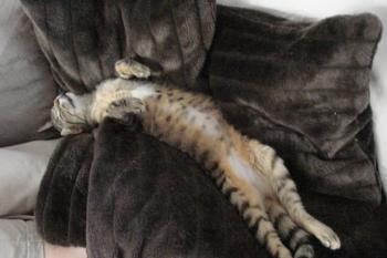 Max Bild von Max