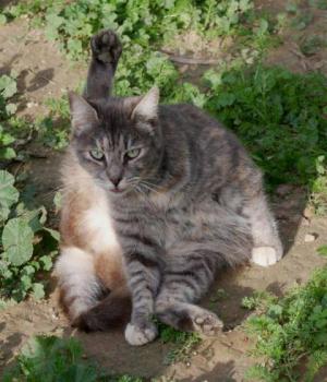 Rosita Bild von Rosita