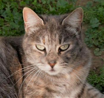 Rosita Bild von Rosita