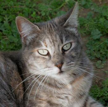 Rosita Bild von Rosita