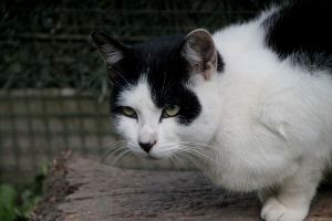 Iñigo Bild von Inigo