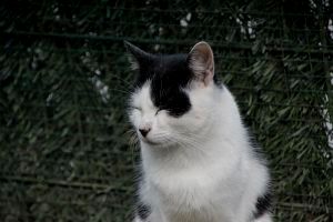 Iñigo Bild von Inigo