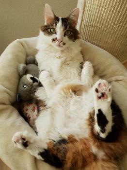 Suzette Bild von Suzette