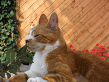 Rubi Bild von Rubi